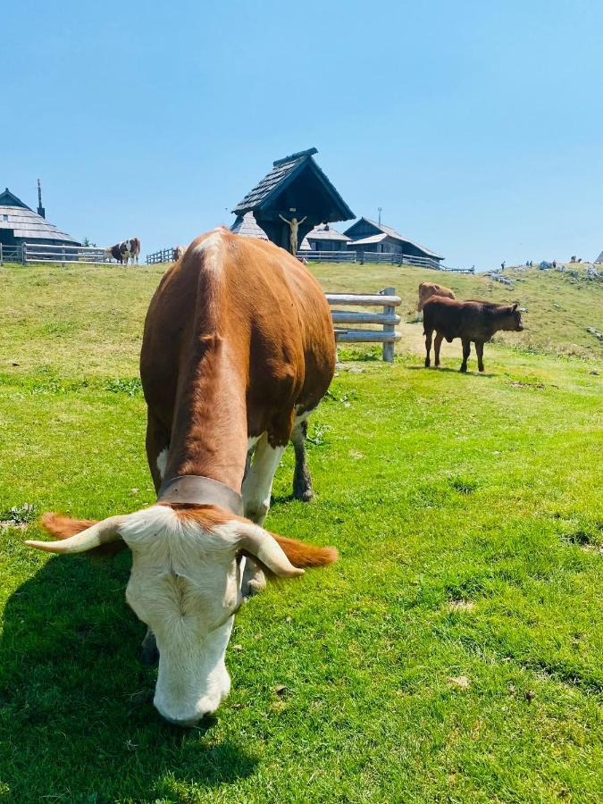Velika Planina Koca Kekec Villa Stahovica Exterior foto