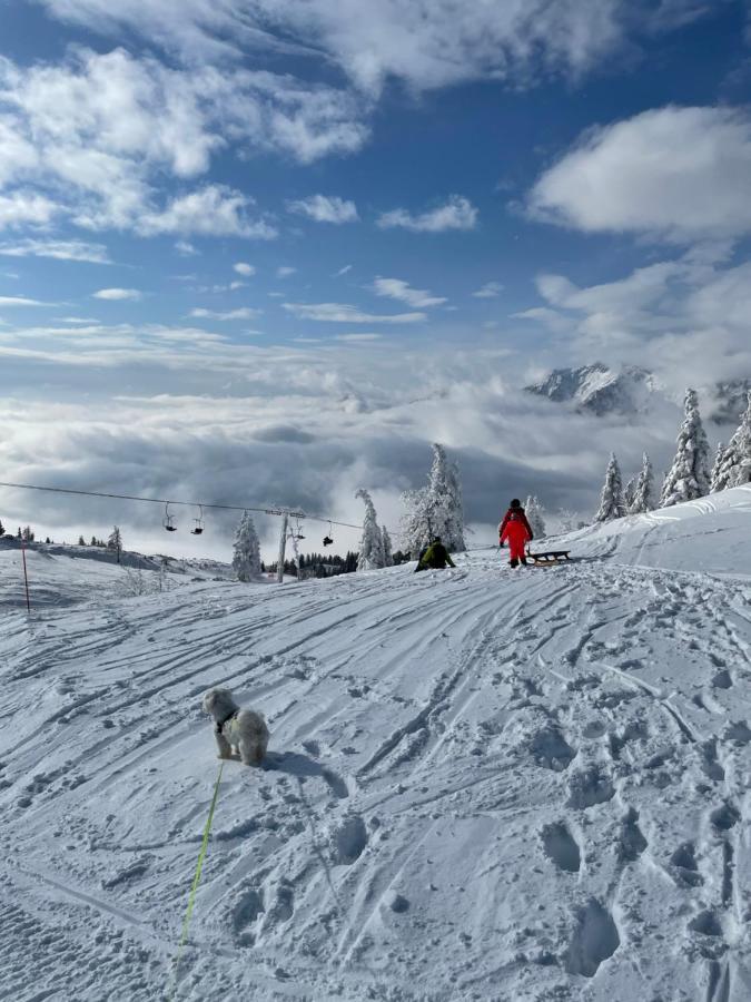 Velika Planina Koca Kekec Villa Stahovica Exterior foto